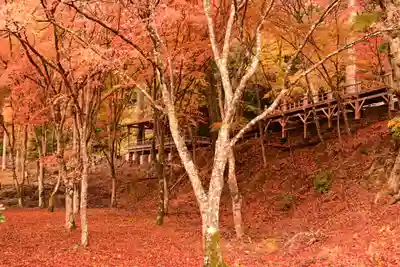 神護寺(京都府)