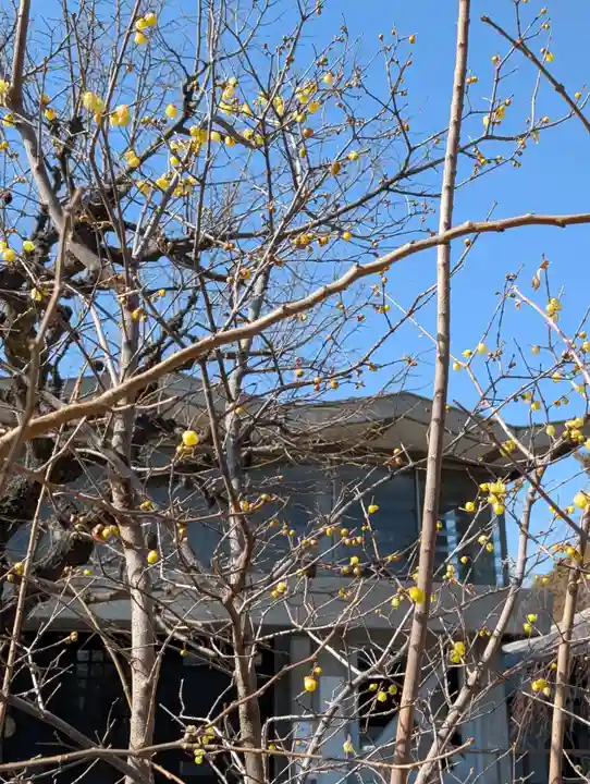 寳幢院(東京都)