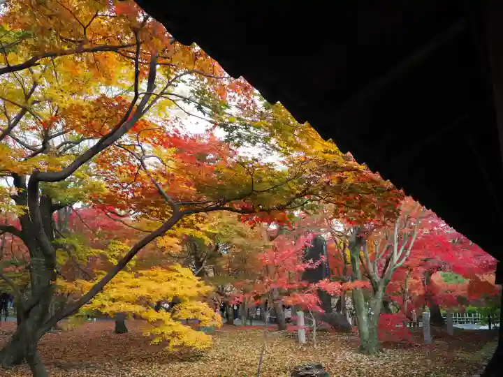 東福禅寺(東福寺)(京都府)
