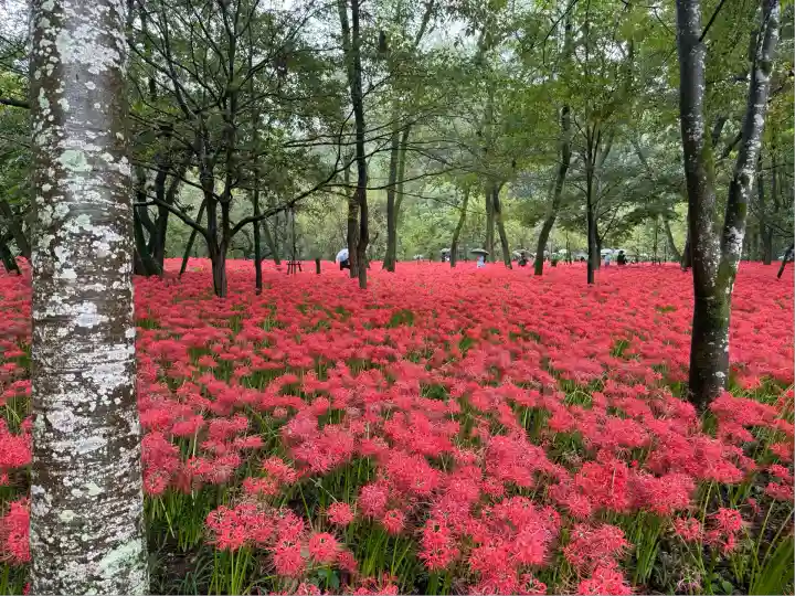 高麗神社(埼玉県)