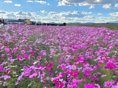 夜夫多神社(三重県)