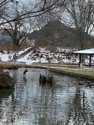 田出宇賀神社の周辺