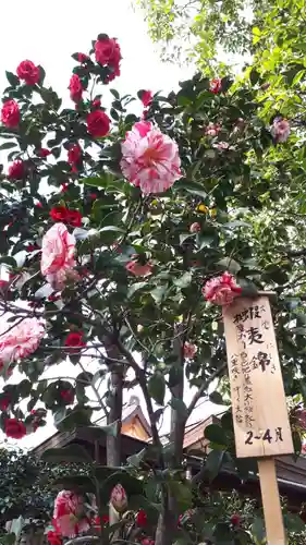 城南宮(京都府)