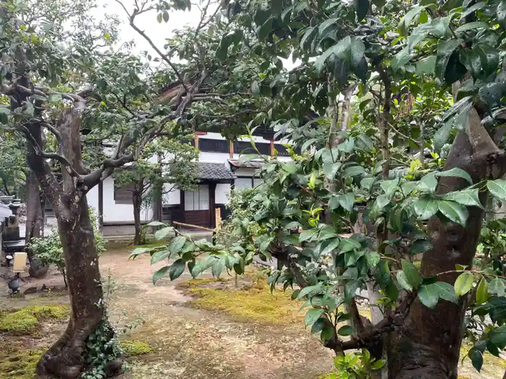 月眞院(京都府)