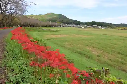 金刀比羅神社の周辺