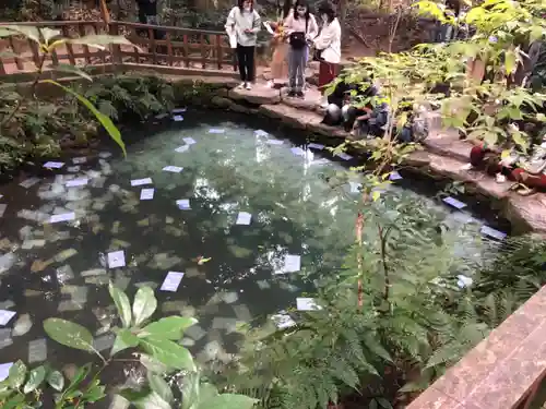 八重垣神社の庭園