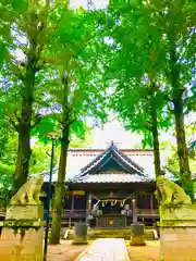 金村別雷神社の本殿