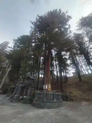 諏訪大社下社春宮(長野県)