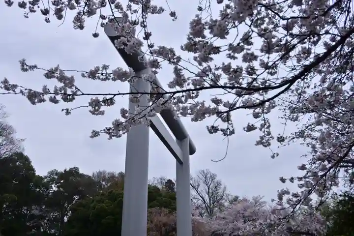 櫻木神社(千葉県)
