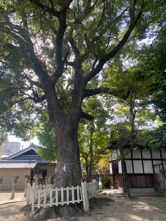 鴨高田神社(大阪府)