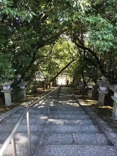 新屋坐天照御魂神社(大阪府)