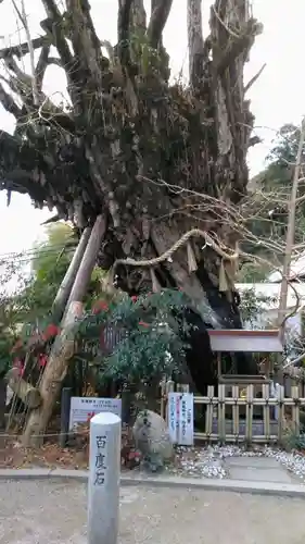 葛城一言主神社(奈良県)