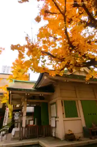 銀杏岡八幡神社(東京都)