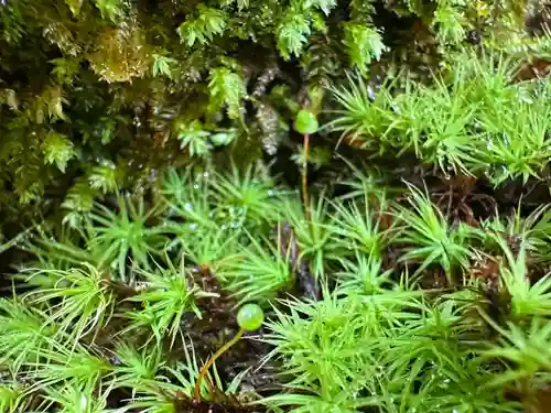 杉本寺(神奈川県)