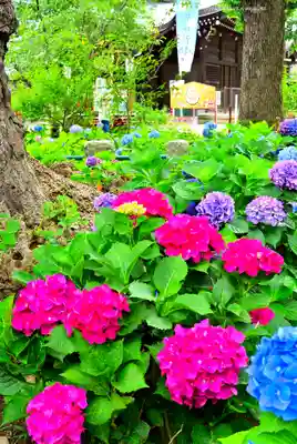 磐井神社(東京都)