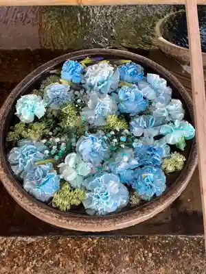 津島神社の手水舎