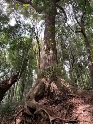 稲荷神社(千葉県)