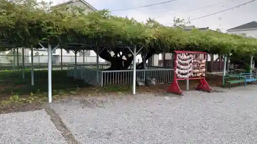 菖蒲神社の庭園