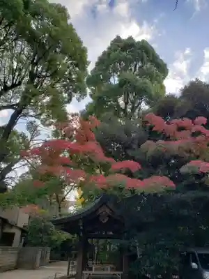 渋谷氷川神社(東京都)