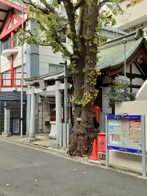 大井蔵王権現神社(東京都)