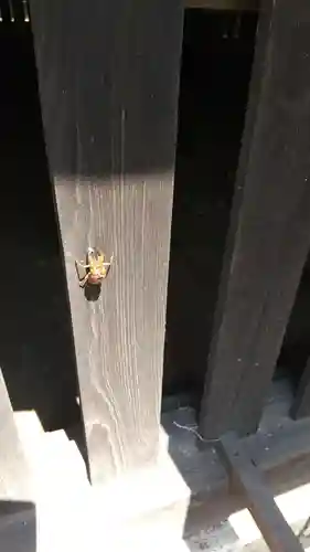 酒門神社(茨城県)