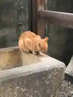 道祖神社の動物