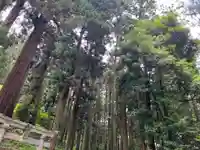 大宮温泉神社(栃木県)