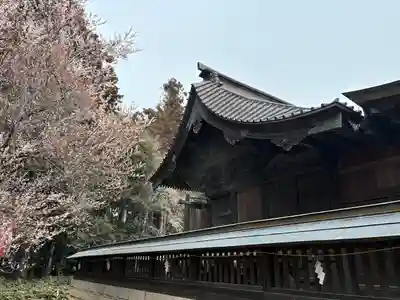 長沼八幡宮(栃木県)