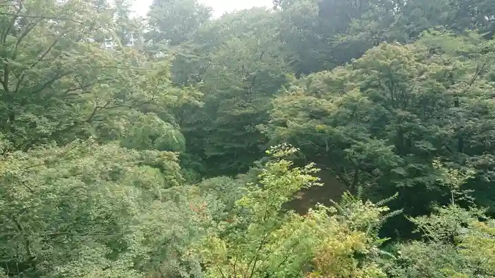 明王院(満願寺別院)の自然