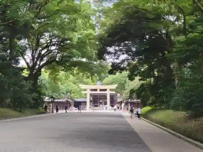 明治神宮の鳥居