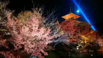 清水寺の{uncategorized: "未分類", other: "その他", undefined: "問題あり", building: "その他建物", grave: "お墓", sacred_gate: "鳥居", guardian: "狛犬", statue: "像", buddha: "仏像", history: "歴史", nature: "自然", garden: "庭園", animal: "動物", pagoda: "塔", temizu: "手水舎", mountain_gate: "山門・神門", sanctuary: "本殿・本堂", subordinate: "末社・摂社", art: "芸術", scenery: "景色", jizo: "地蔵", ema: "絵馬", goshuin: "御朱印", omikuji: "おみくじ", items: "授与品その他", amulet: "お守り", goshuincho: "御朱印帳", eats: "食事", festival: "お祭り", votive_dance: "神楽", shichigosan: "七五三参", wedding: "結婚式", experience: "体験その他", initially: "初詣", around: "周辺", anti_infection: "感染症対策"}
