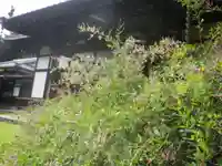 浄光明寺の自然