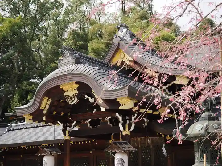 今宮神社(京都府)