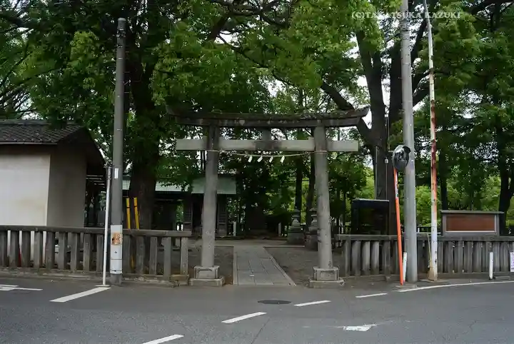 小杉神社(神奈川県)