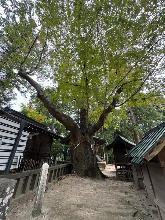 穂高神社本宮(長野県)