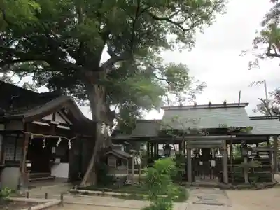 齋宮神社の本殿・本堂