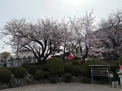 不動寺(大阪府)