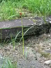 鶴林寺(石川県)