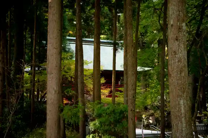 富士山東口本宮 冨士浅間神社の景色