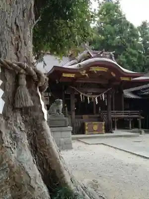 素鵞神社の本殿・本堂