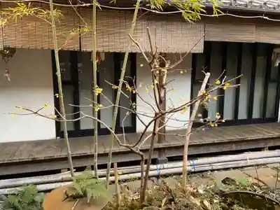 遠照山 光明寺（尼崎大仏）(兵庫県)