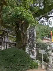 青岸渡寺(和歌山県)