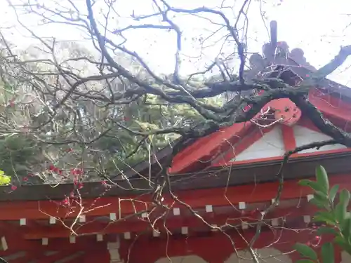 荏柄天神社の本殿・本堂