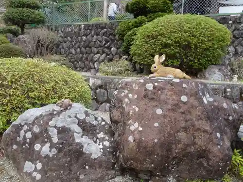 日蓮宗 総本山 塔頭 定林坊(じょうりんぼう)の狛犬