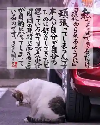 専念寺(大阪府)