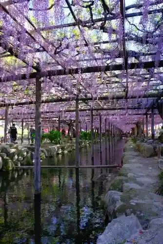 津島神社の周辺