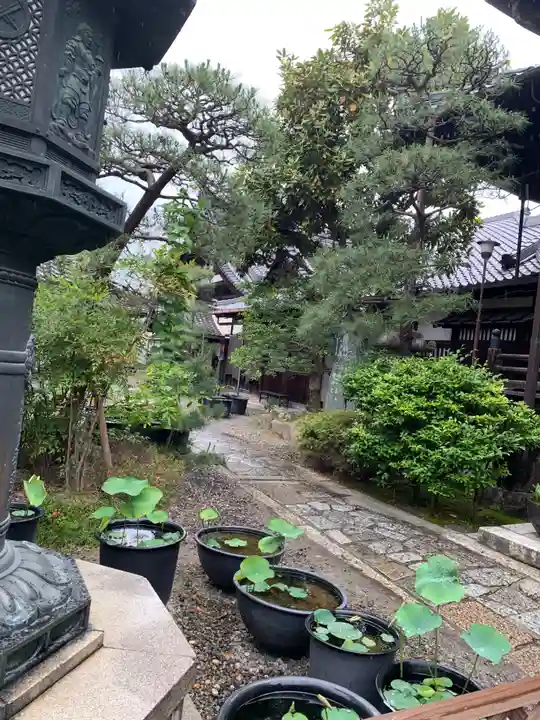 行願寺(革堂)(京都府)