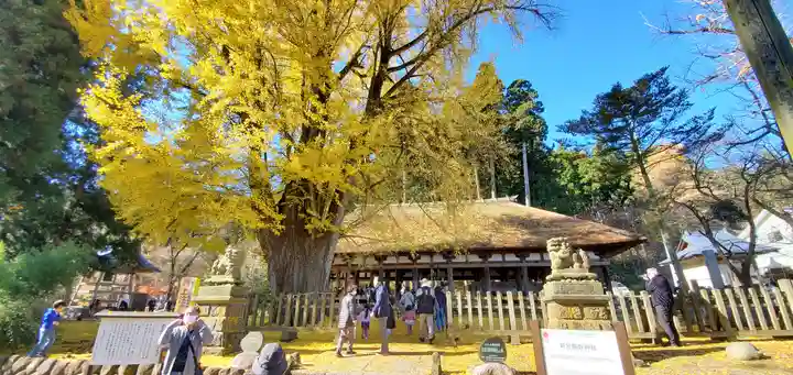 新宮熊野神社のその他建物
