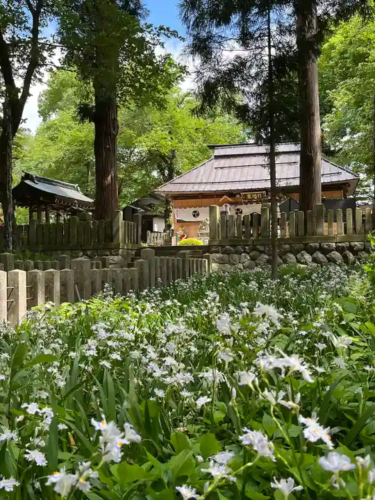 飯笠山神社(長野県)