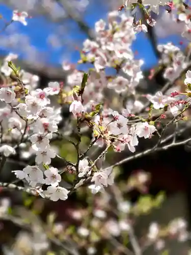 長光寺(長野県)